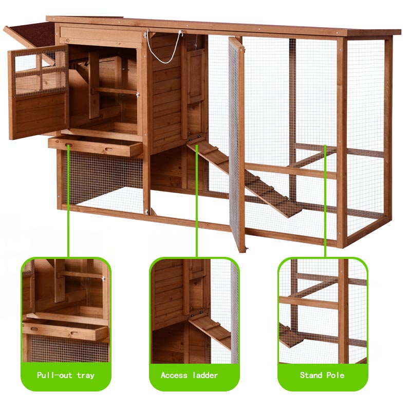 Chicken Coop With Waterproof Asphalt Roof