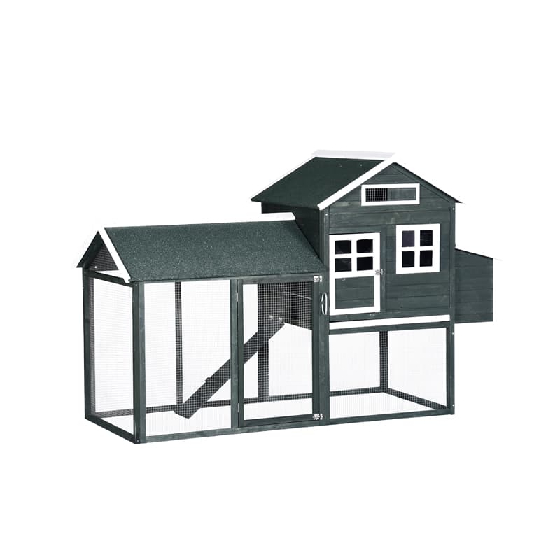 chicken house backyard poultry farm