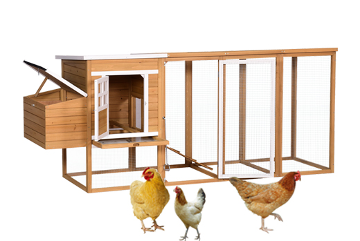 Chicken Coops
