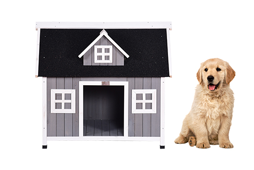 Dog Cages