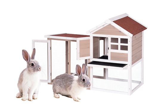 Rabbit Cages