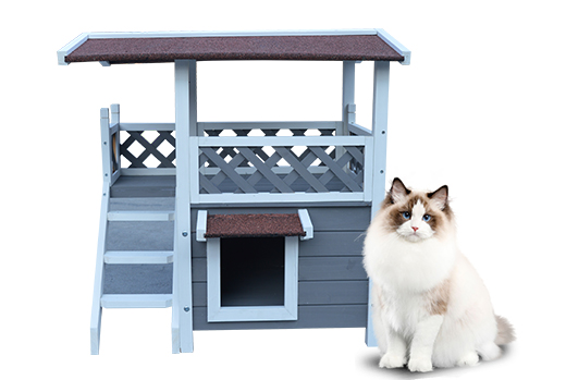 Cat Cages