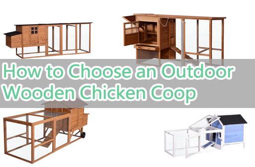 Outdoor Wooden Chicken Cage Selection Guide