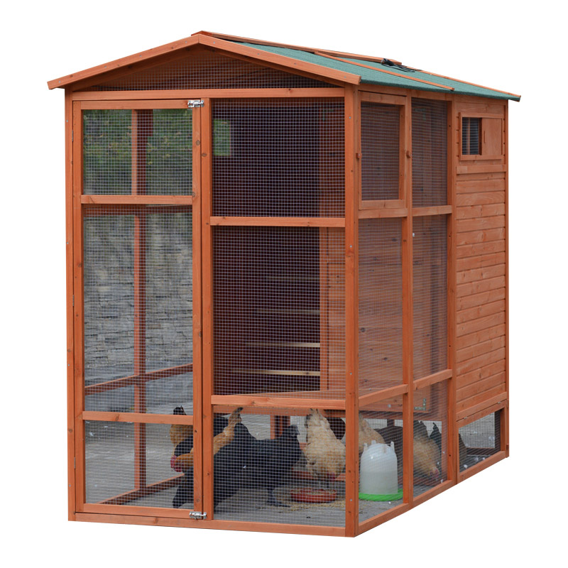 chinese chicken coop