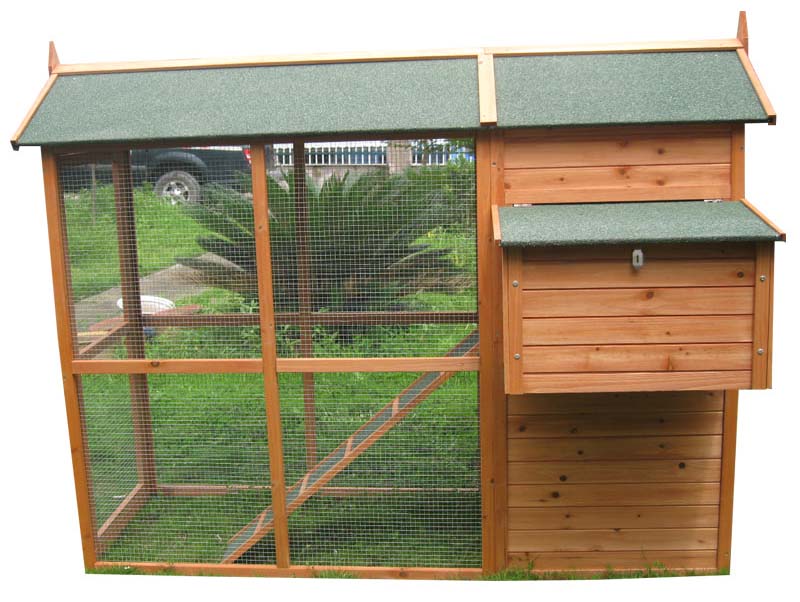 large chicken coop