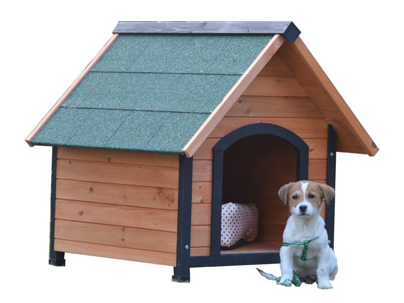 wooden dog house outdoor