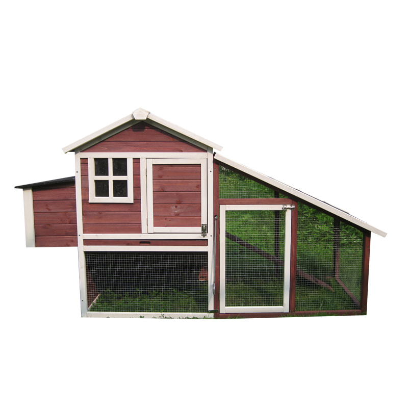 outdoor chicken coops