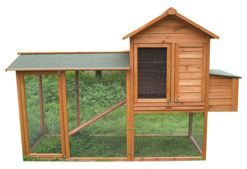 chicken farm cage
