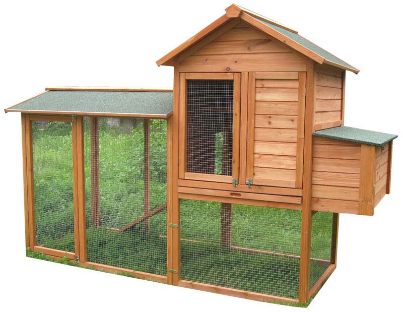chicken coop accessories