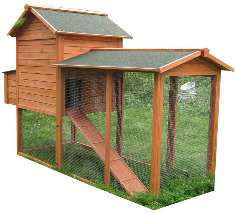chicken coop accessories