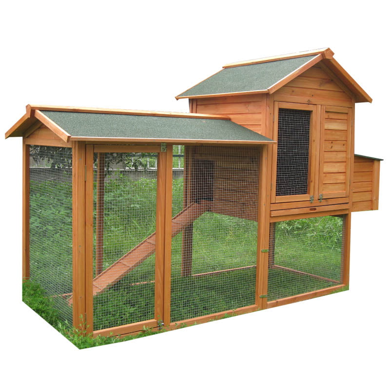 chicken houses designs