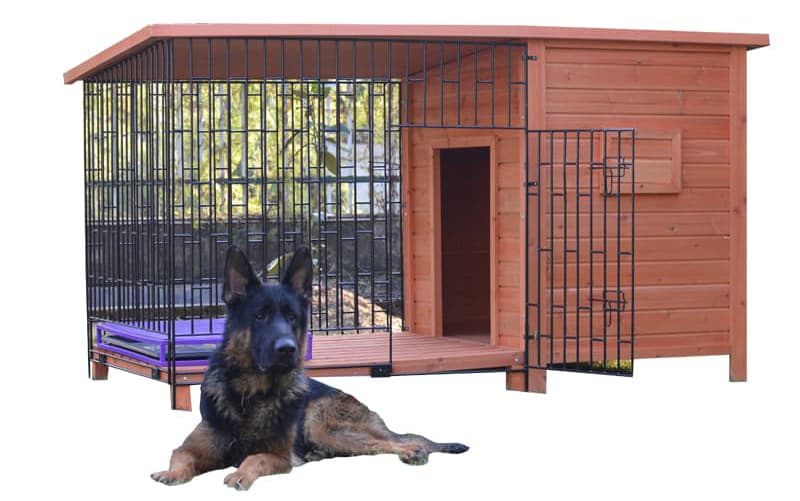 dog in wooden kennel