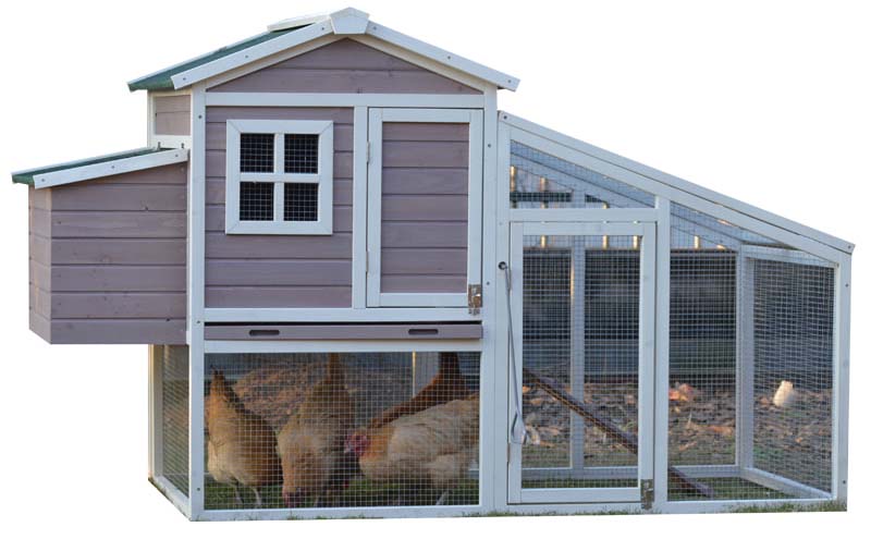 chicken cage for layer