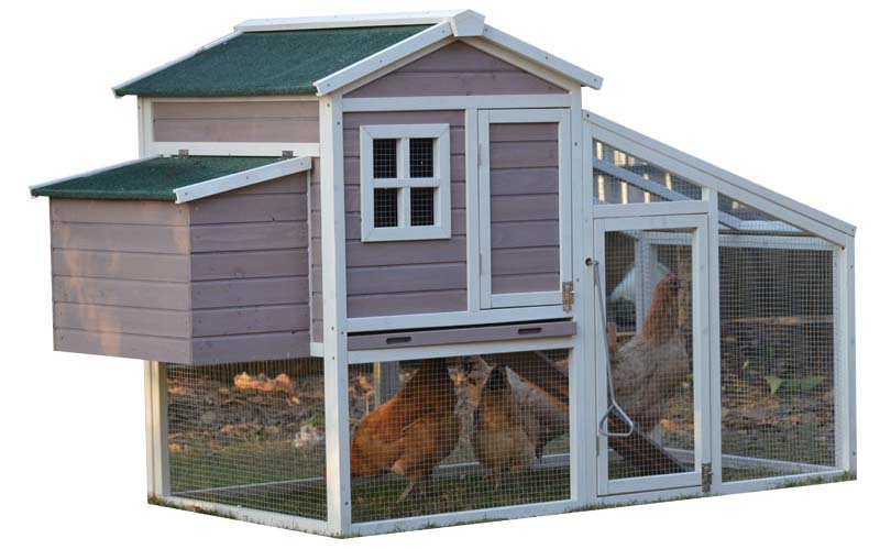 hen cage