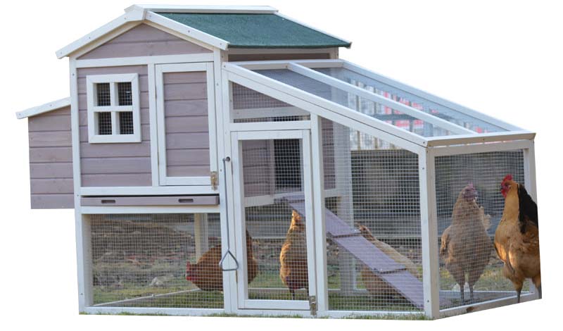 chicken coop cage