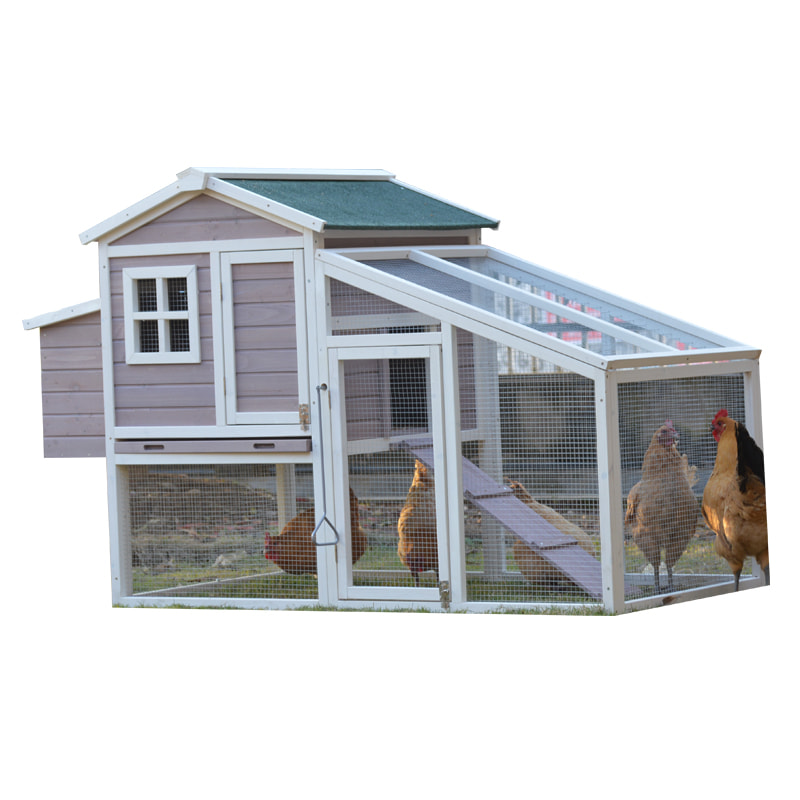 hen cage