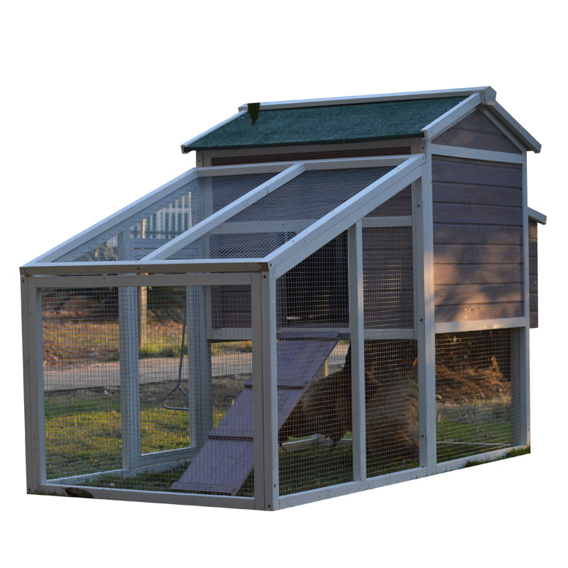 chicken house coop