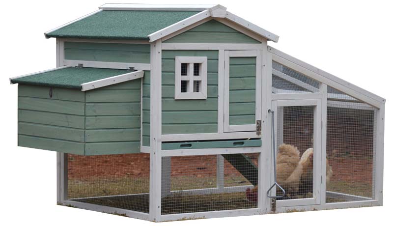 chicken coop
