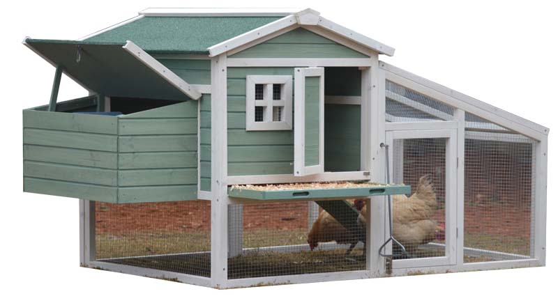 chicken coops for laying hens