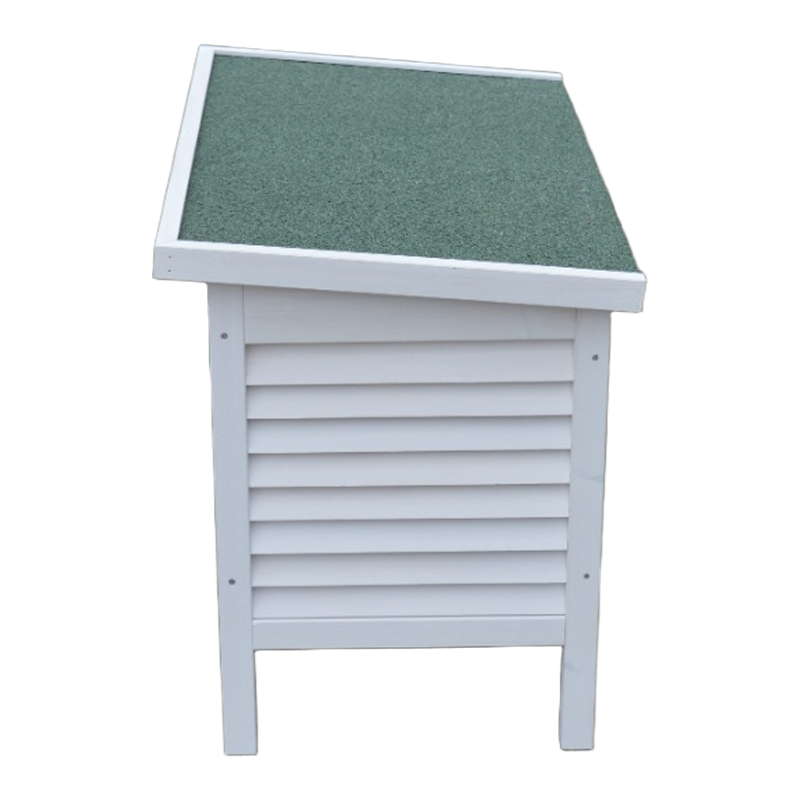 cute summer cat house