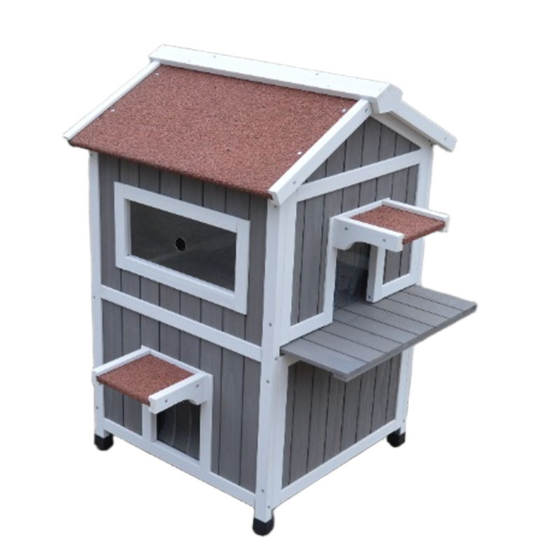 Grey Cat House cute