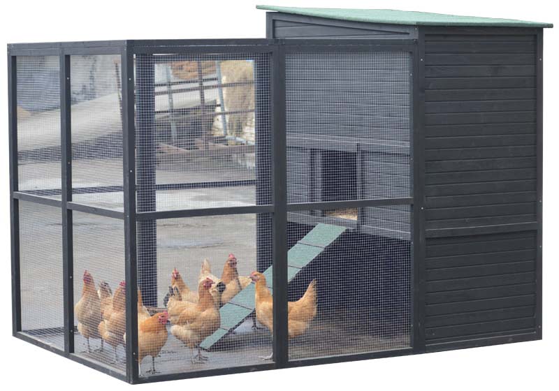 chicken coops for 15 chickens