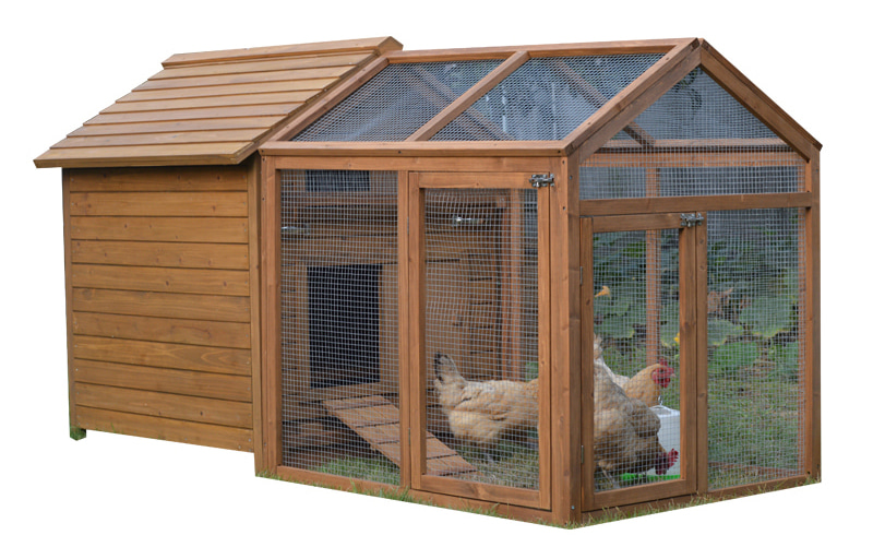 Waterproof backyard chicken coop