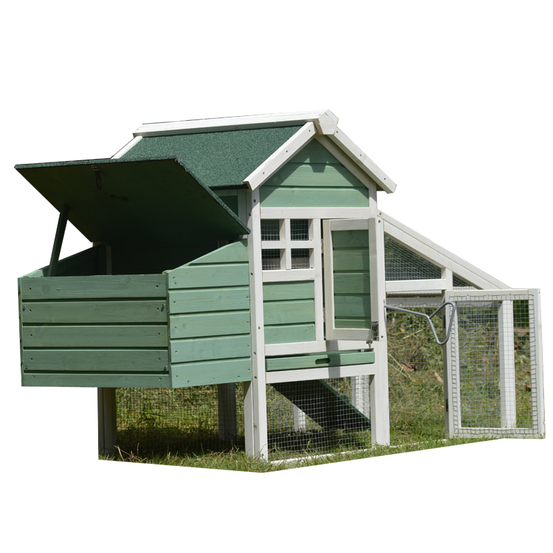 chicken coop with chicken run