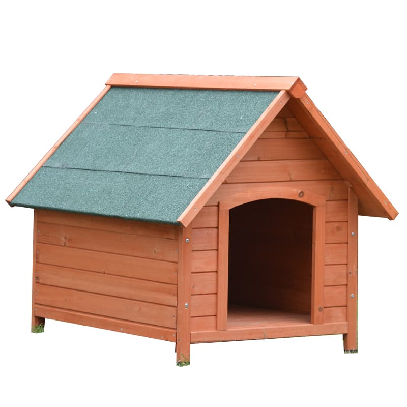 pet in dog house