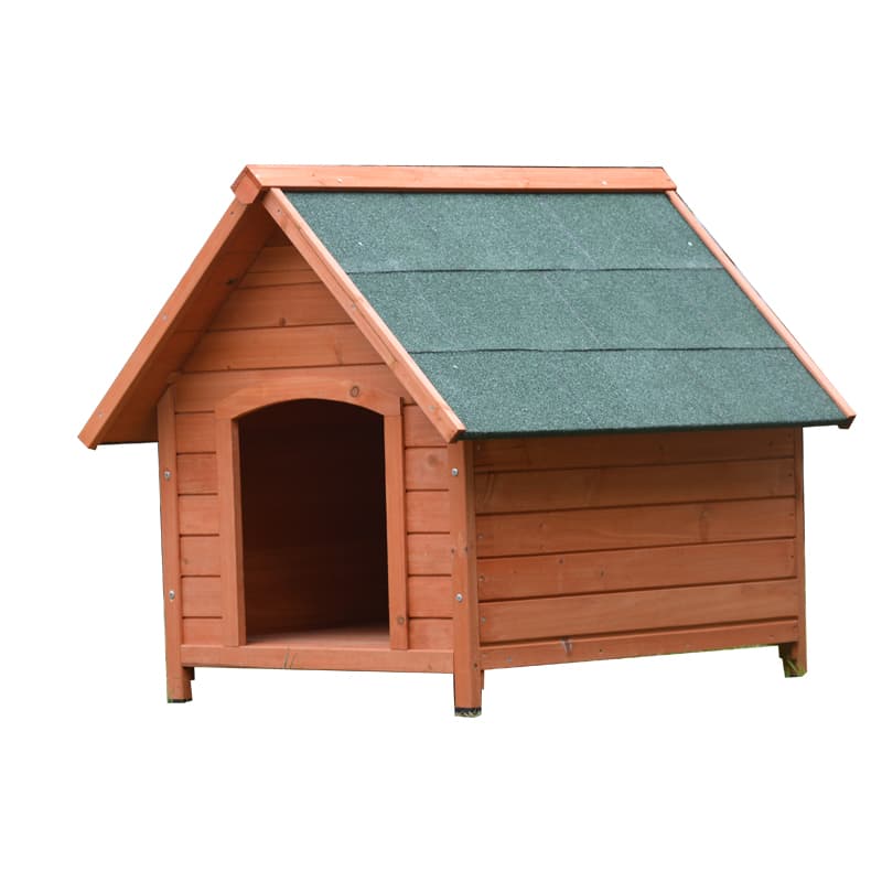 Best Dog For Protection And Family