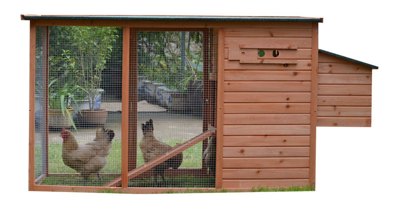 Outdoor Big Chicken Coop backyard Outdoor Big Chicken Coop backyard
