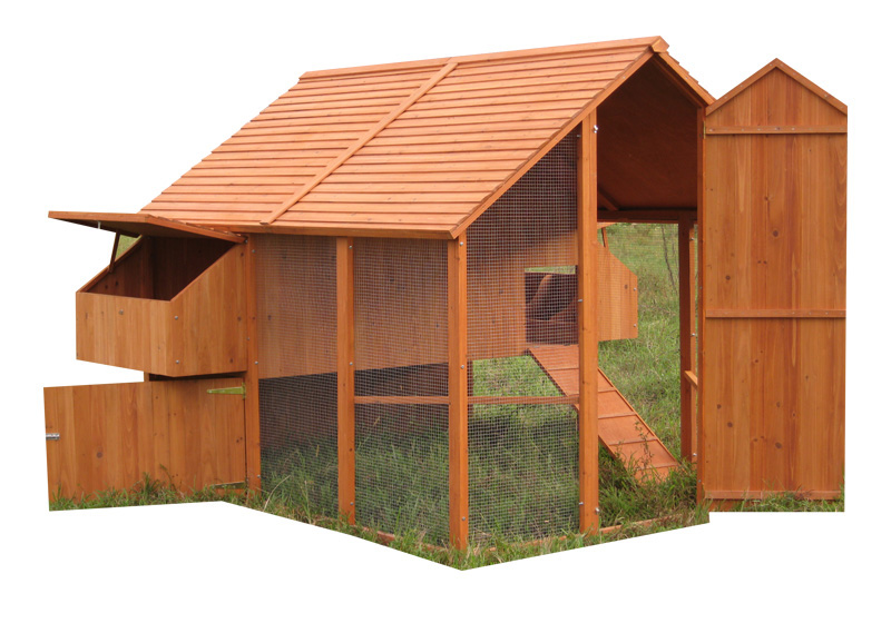 Outdoor large cozy Chicken Coop backyard Outdoor large cozy Chicken Coop backyard