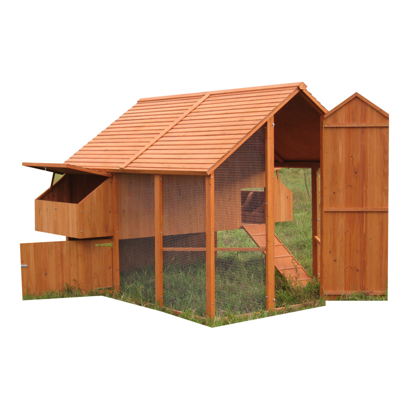 Urban Patio Poultry Setup