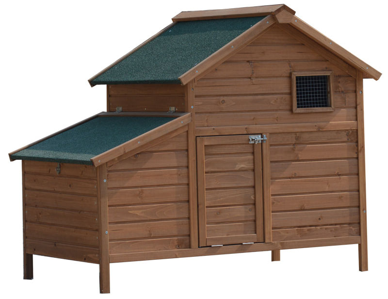 layer cages egg chicken poultry farm