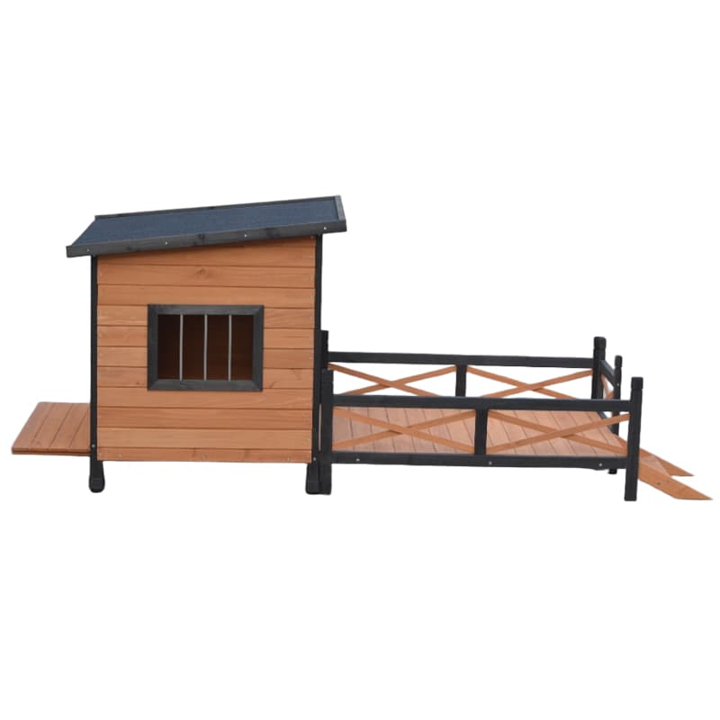 boarding for cats near me