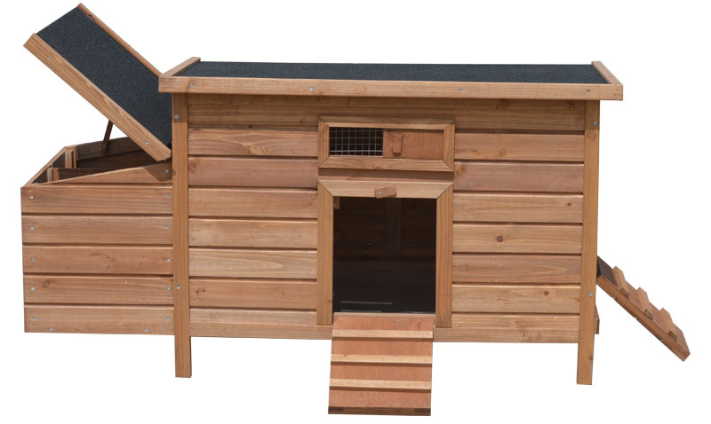 chicken coop without chicken run