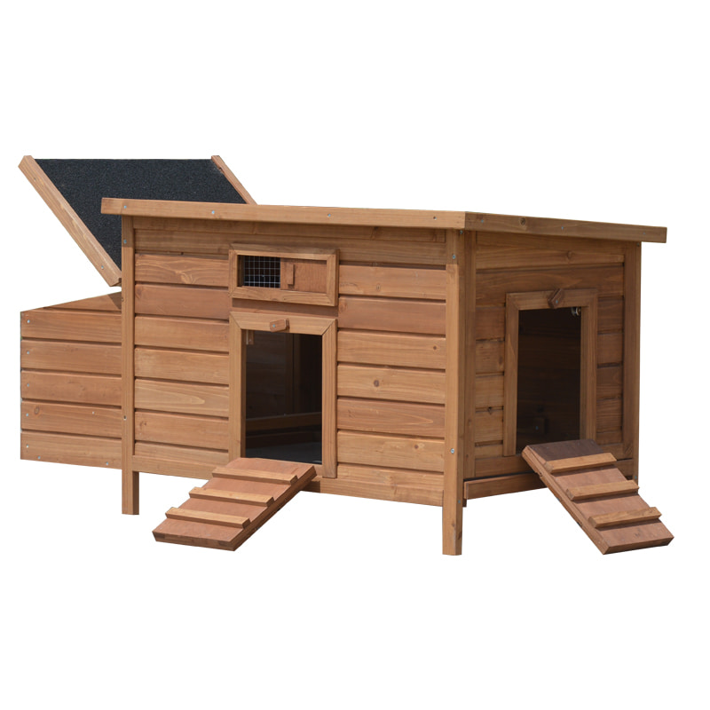 chicken coop without chicken run