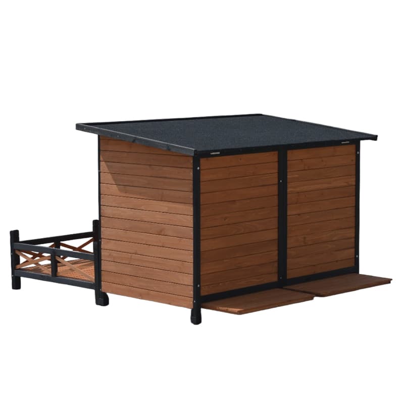 boarding for cats near me