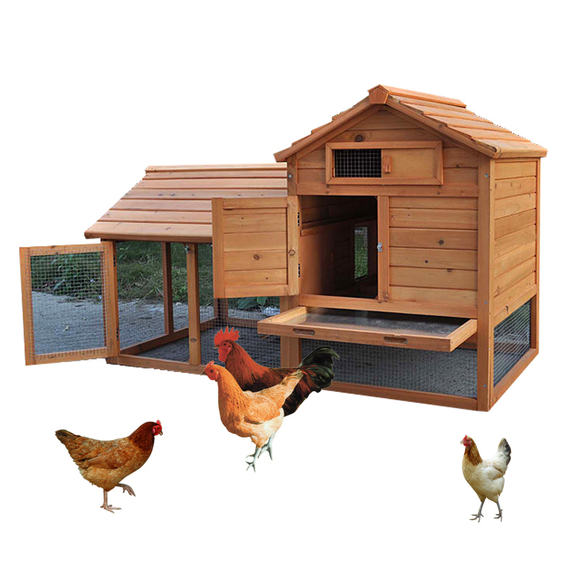 Dual-Zone Poultry House with Secure Wire Run