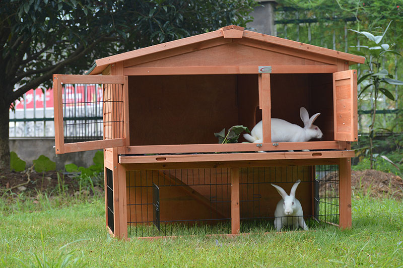 2 storey rabbit hutch