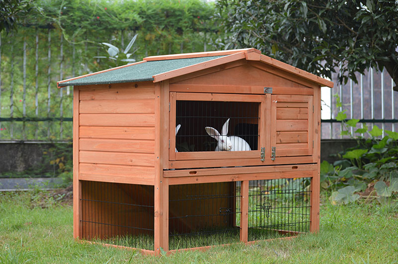 rabbit hutch with pull out tray