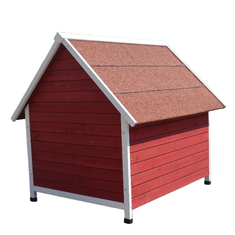 boarding for cats near me