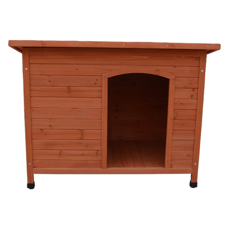 Boarding for cats near me