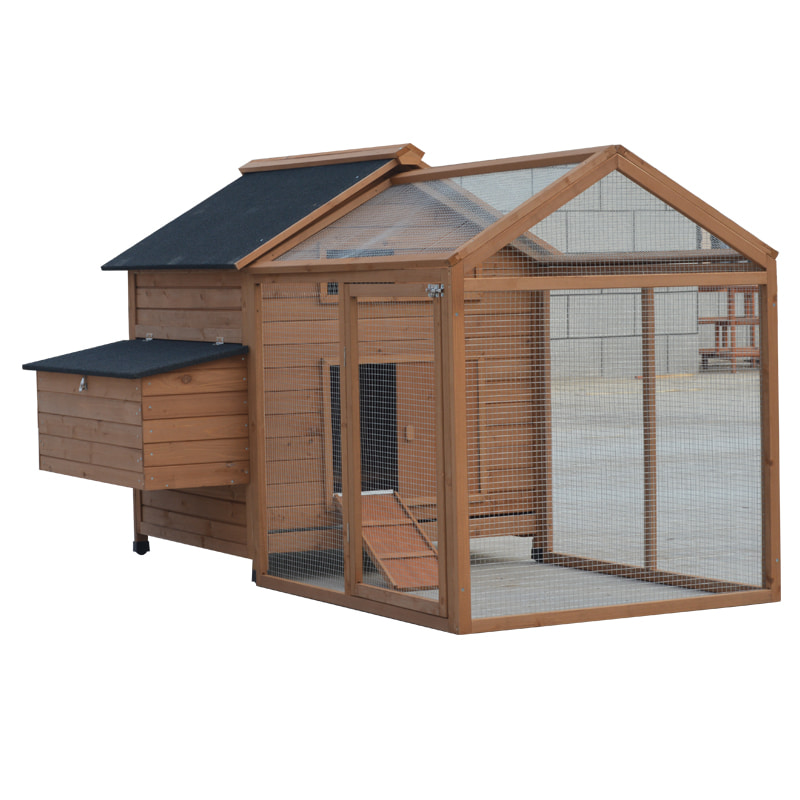 chicken layer cages poultry