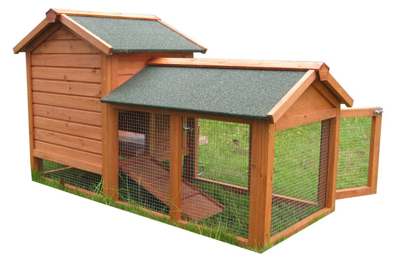 cozy elevated outdoor Chicken Coop with vent