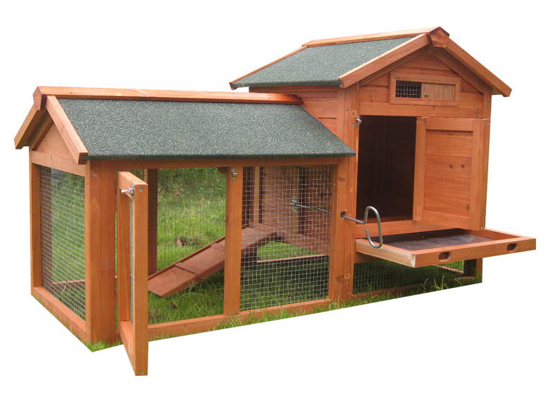 wooden chicken coop sturdy structure