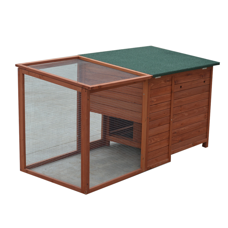 economic chicken coop house