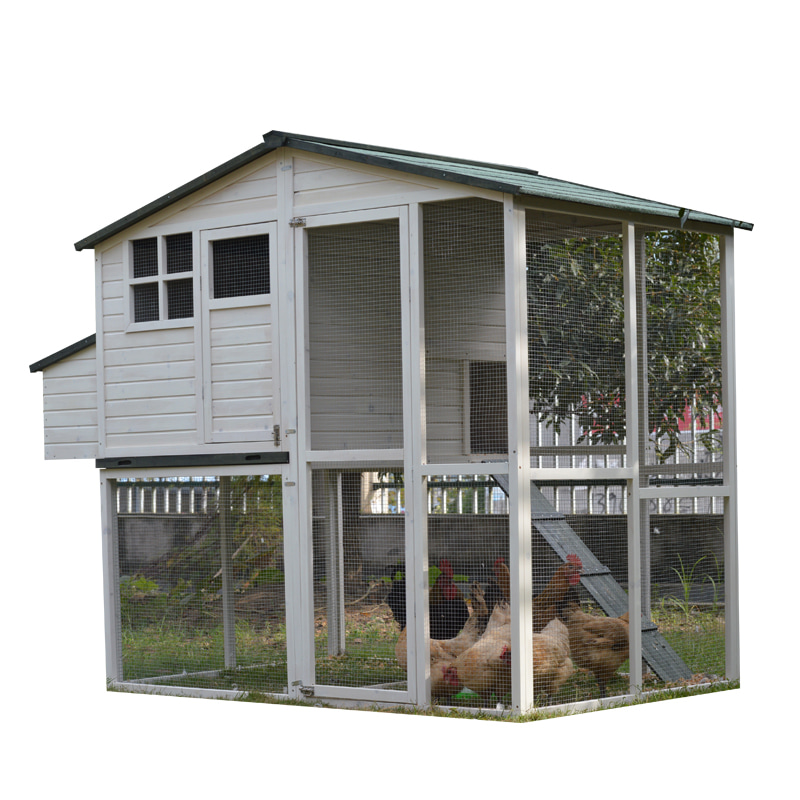 Elevated Chicken Coop With Attached Wire Run