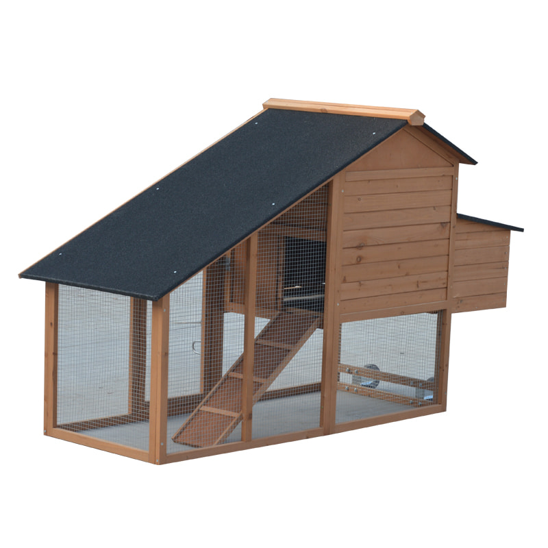 poultry farm design layout chicken cage