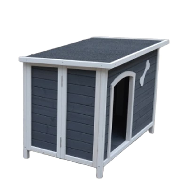 boarding for cats near me